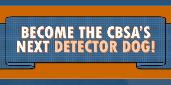 Become the CBSA's next detector dog
